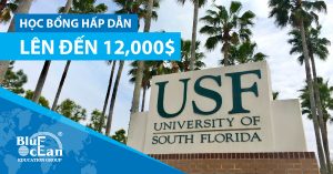 HỌC BỔNG HẤP DẪN LÊN ĐẾN 12,000$ CÙNG UNIVERSITY OF SOUTH FLORIDA